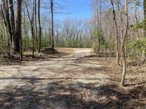 Mount Ida Wooded Acreage