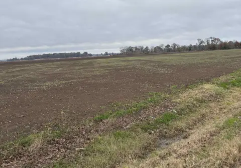 Lake Village Acreage Opportunity