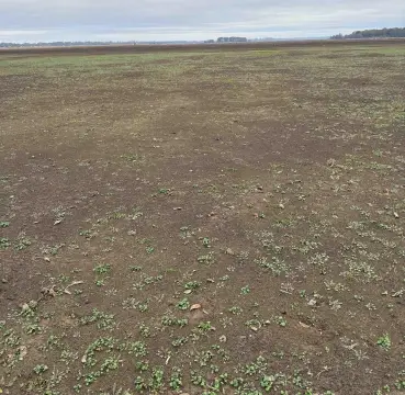 Lake Village Acreage Opportunity