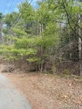 Wooded Lot in Cuddebackville, NY