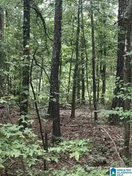 Land Lot in ALPINE, AL