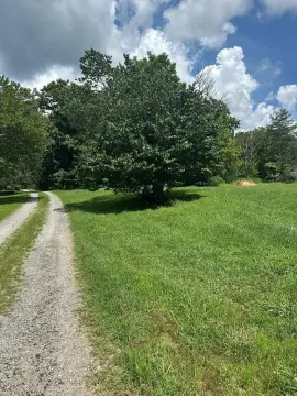 Adjoining Residential Land Lots