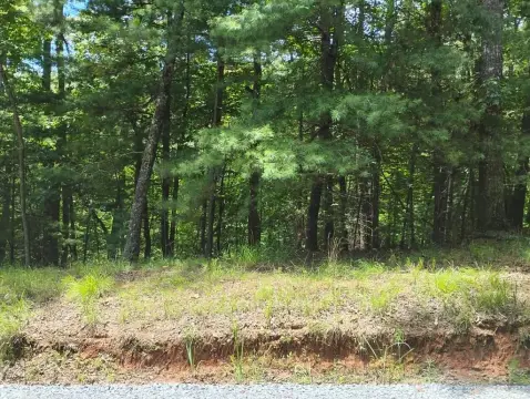 Gently Sloped Home-Building Lot