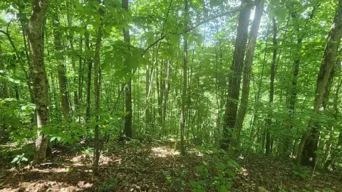Ridge-Top Residential Lot