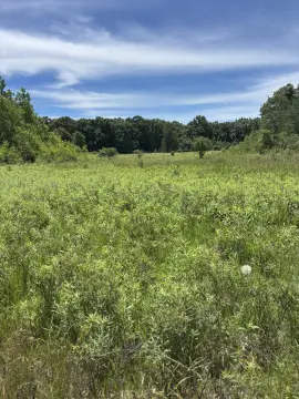 Hunting Land with Timber