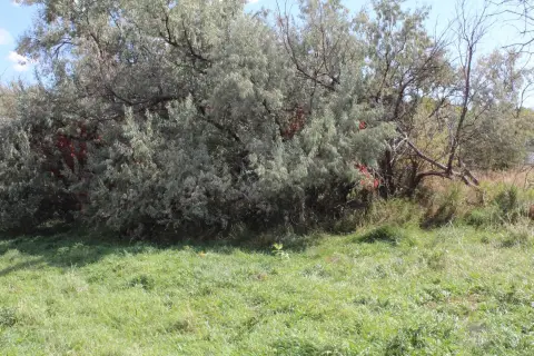 Residential Land in Newcastle, WY