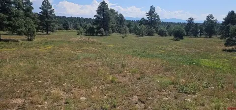 Residential Lot in Pagosa Springs