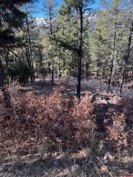 View Lot with Paid Water