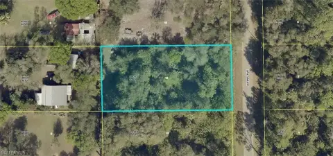 Residential Land in Alva, Florida