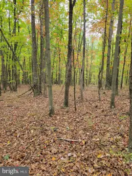 Wooded Recreational Land