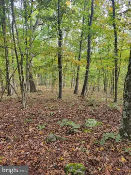 Six-Lot Hunting Land