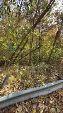 Residential Lot in North Memphis