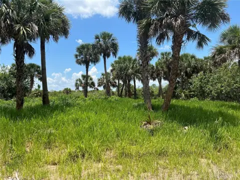 Residential Land in Palm Bay