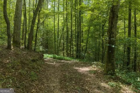 Wooded Creekfront Recreation Land