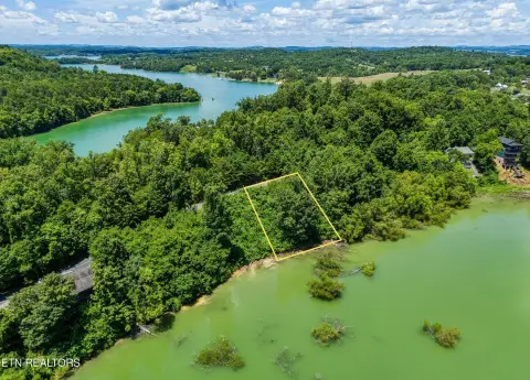 Douglas Lake Waterfront Homesite Opportunity