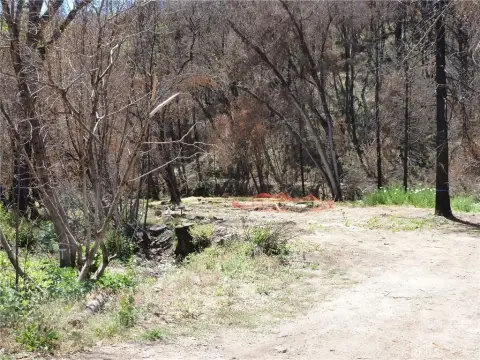 Berry Creek Land with Two Creeks