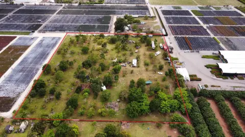 5-Acre Citrus Tree Farm