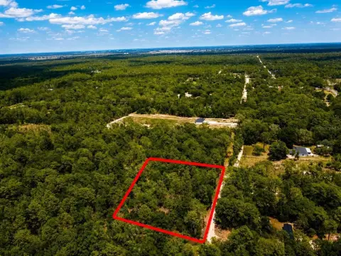 Wooded Lot Near Dunnellon
