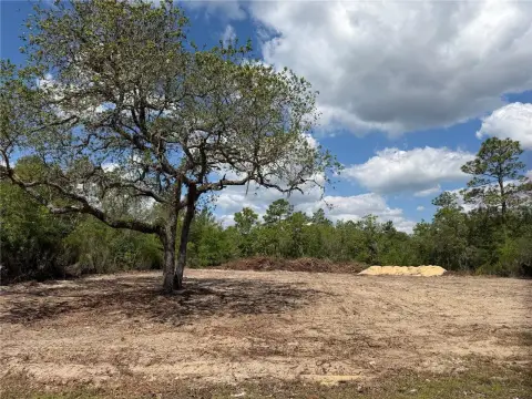 Cleared 1.25 Acre Lot