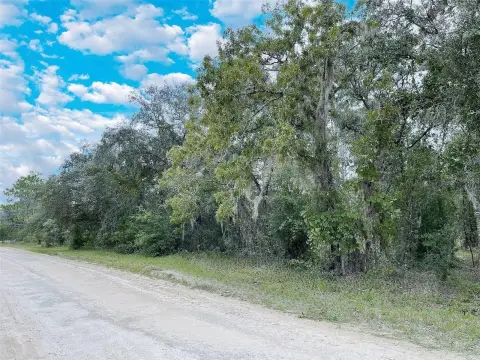 Williston Highlands Wooded Corner Lot