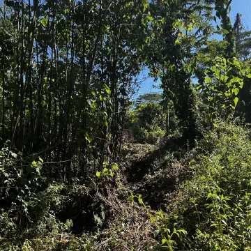 Land in Hawaiian Beaches
