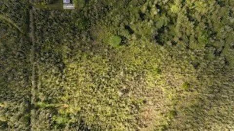 3-Acre Parcel in Hawaiian Acres