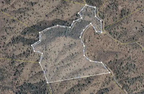 Undeveloped Land Parcel