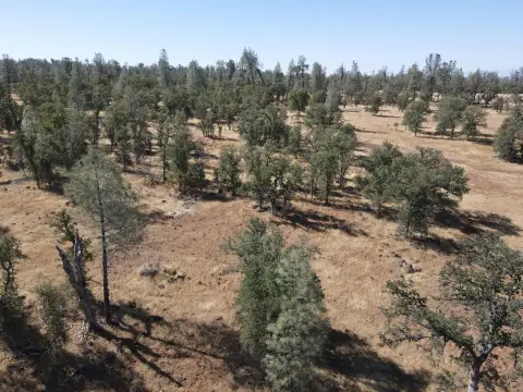 Recreation Land with Mountain Views