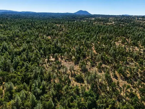 Recreation Land with Trail System