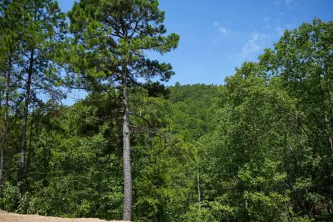 Scenic Land with Creek Frontage