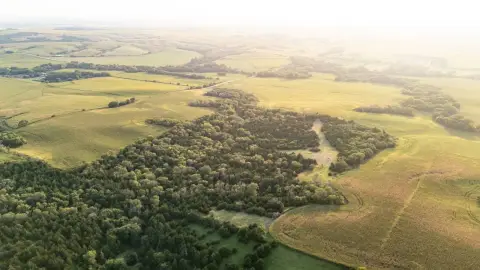 Nebraska Land with Hunting Potential