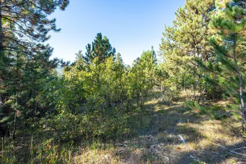 Residential Land in Black Hills