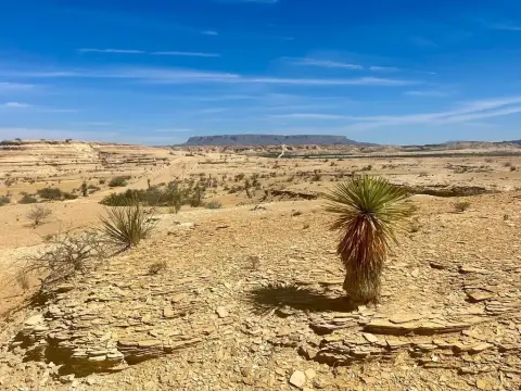 Remote Land in Terlingua, TX