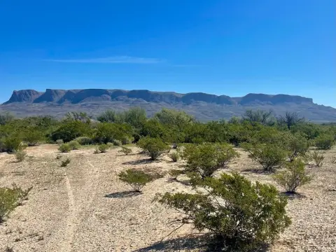Terlingua, TX 16-Acre Land
