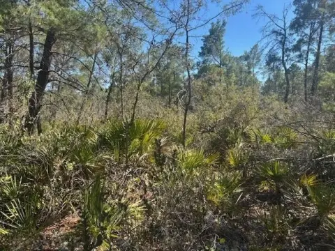 Residential Land in Sebring, FL