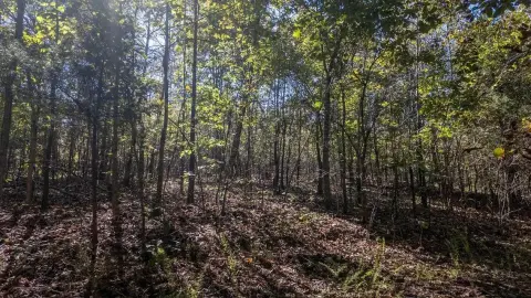Residential Lot in Cherokee Village