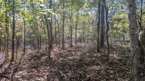 Residential Lot in Cherokee Village