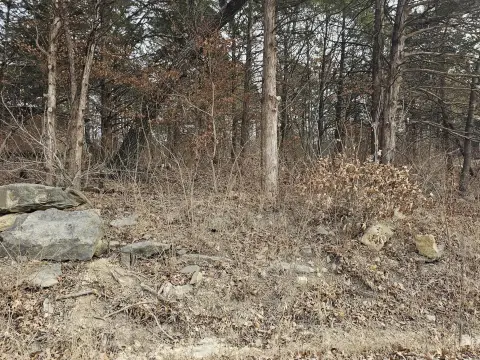 Wooded Lot Near Lake Pomme