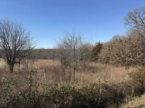 Five Acre Lot in Willard