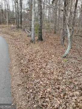 Wooded Land in Canton, Georgia