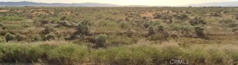 19 Acres Flat Usable Land