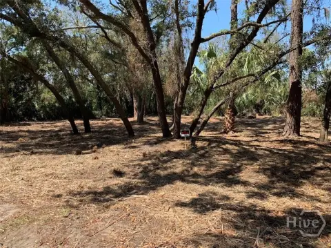 Tybee Island Land For Sale