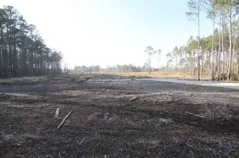 Ridgeland Land Parcel For Sale