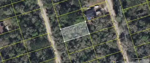 Residential Vacant Lot in Crawfordville