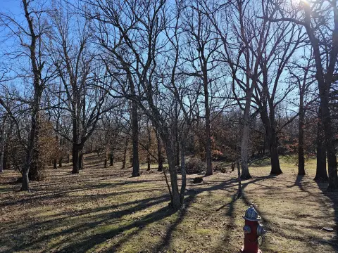 Monett, MO Versatile Land