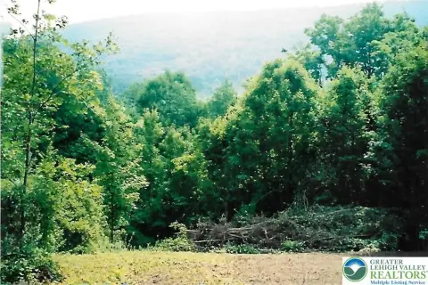 Mineral Rights Land