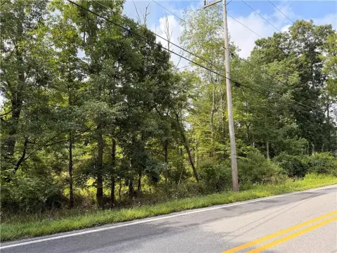 Wooded Vacant Land