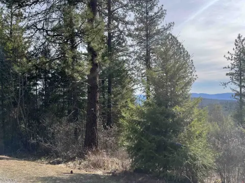 20 Acres of Mountain Views