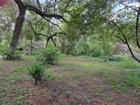 2.5 Acres in Zephyrhills