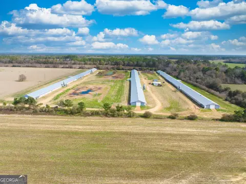 Moultrie Breeder Chicken Farm